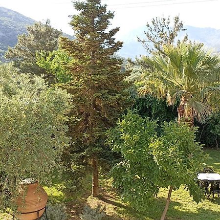 Villa Karapataki Skala Rachoni  エクステリア 写真