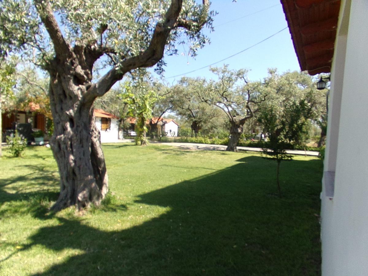 Villa Karapataki Skala Rachoni  部屋 写真